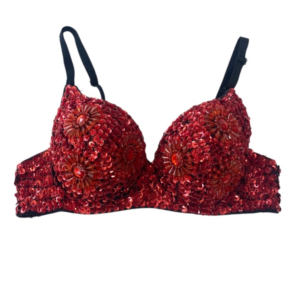 Belly Dance Dance Sequin Bra